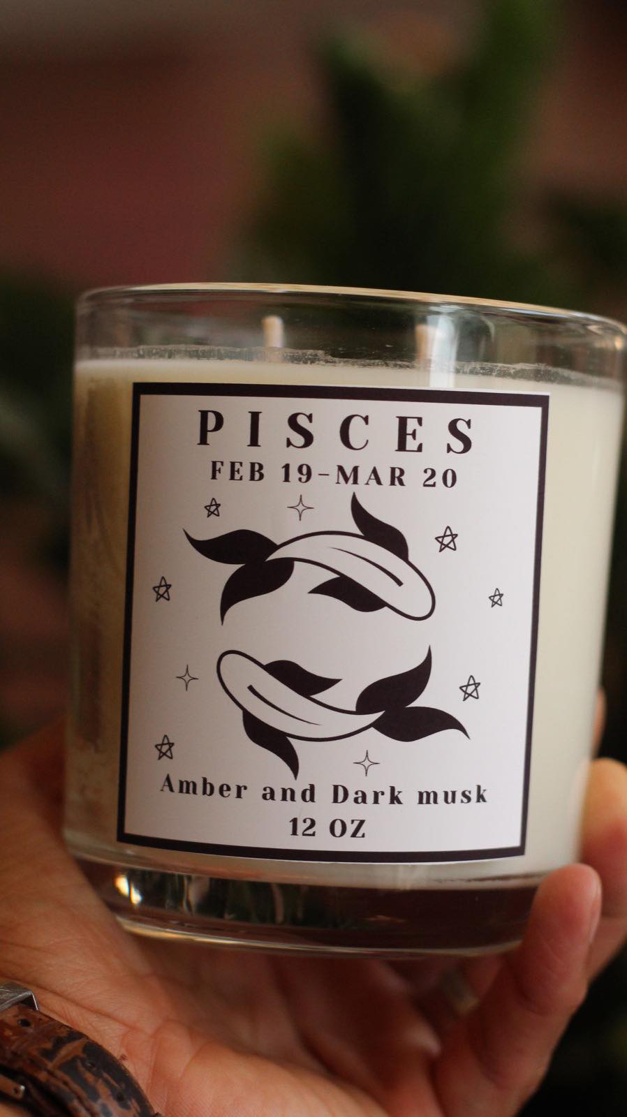 Pisces Hidden Crystal Candle