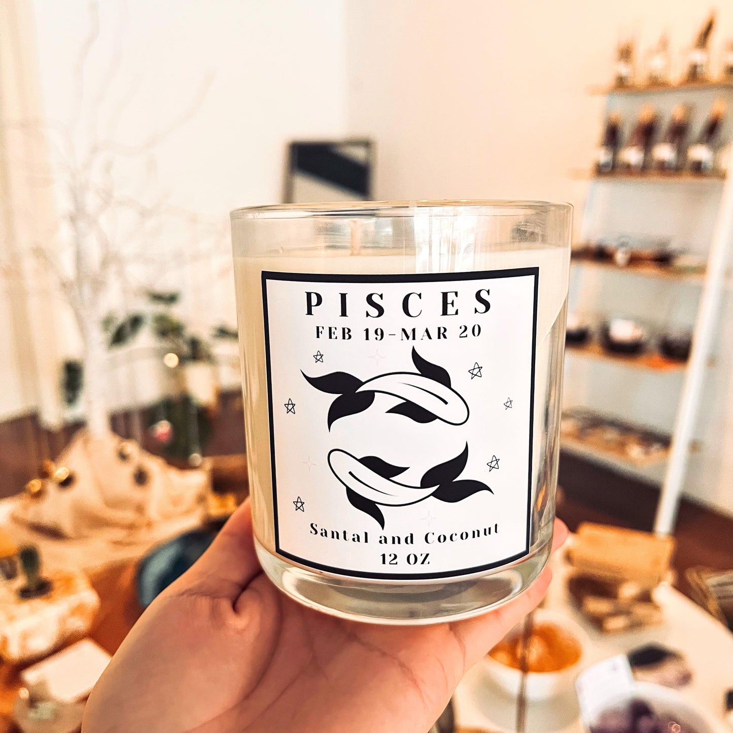 Pisces Hidden Crystal Candle