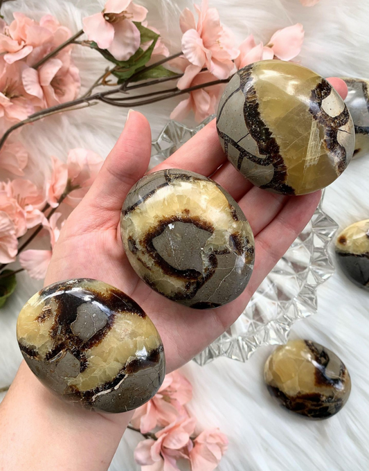 Septarian Palm Stone